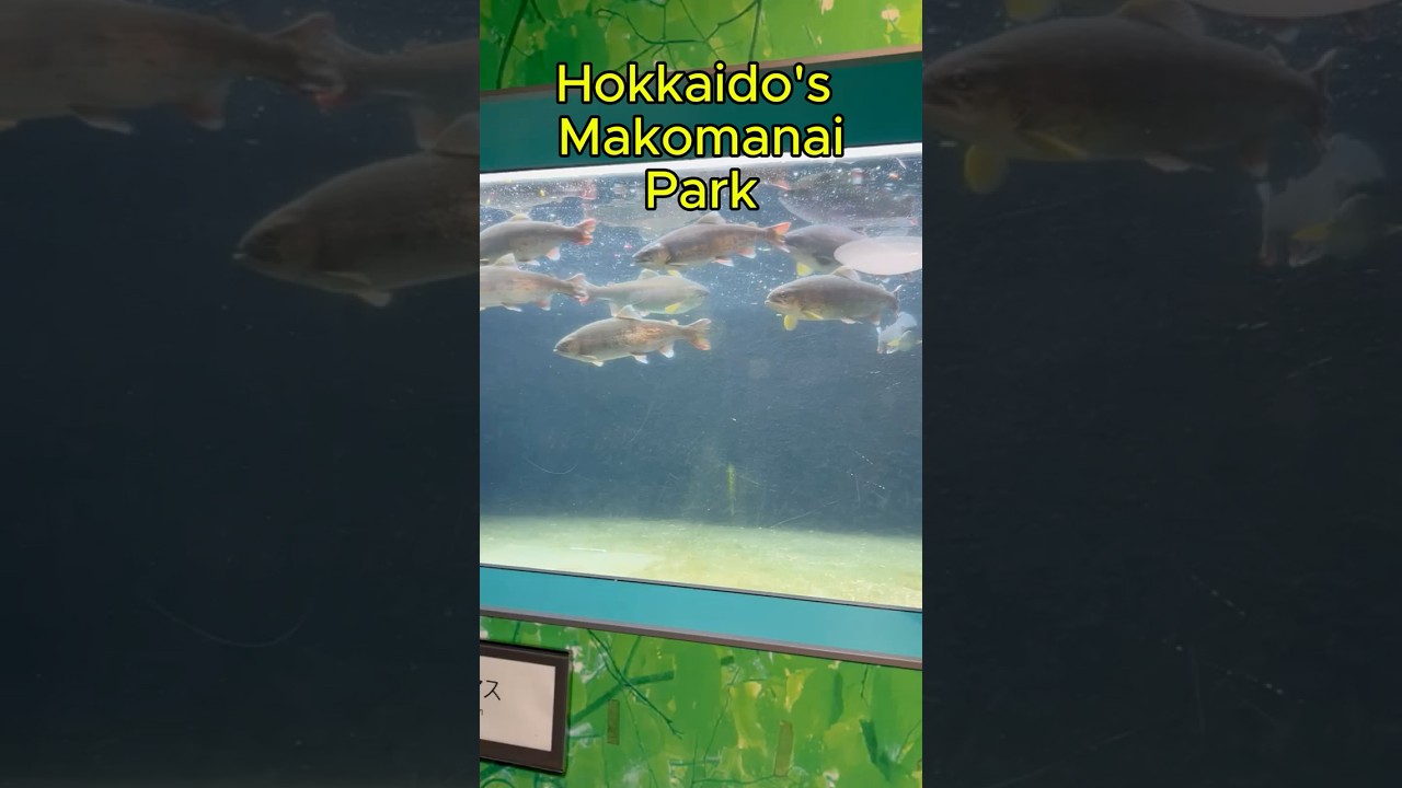 YouTube Short thumbnail