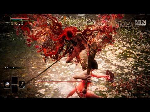 Elden Ring - Elynia's Journey, Lvl1 Wretch VS Malenia, Goddess of Rot [Solo, No Damage ]