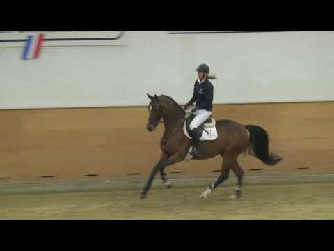 127 Comtess v. Cormint - Acorado