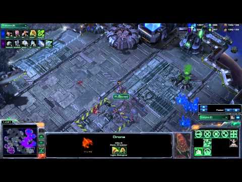 IPL Nestea v Alive g2