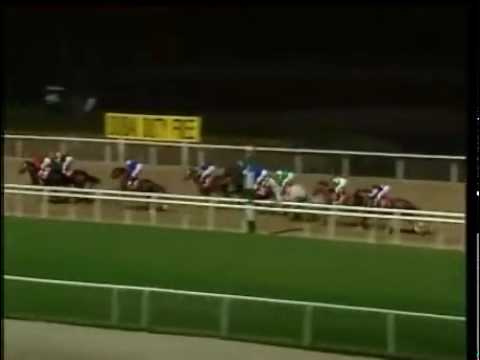 Godolphin Greats   5   STREET CRY   G1 DUBAI WORLD CUP