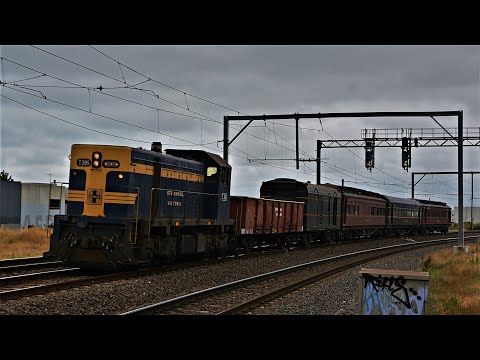 Trains at the Champion Road Level Crossing