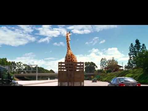 Una notte da Leoni 3 - La giraffa