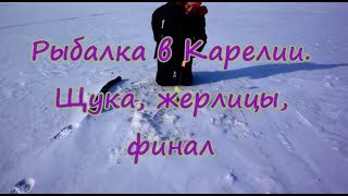 Ловля щуки на жерлицы в карелии летом