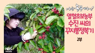 [나는농부다 221회 2부] 열혈초보농부 수진 씨의 꾸지뽕 정복기