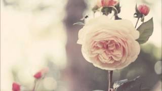 Halo - Ane Brun ft Linnea Olsson Lyrics / Letra en español