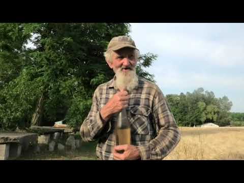 Bugaszegi szösszenetek - A Janibácsi napszúrást kapott.