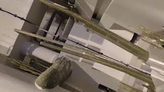 ‎@NEOMChannel  (4)