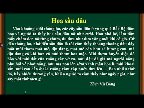 Tiếng Việt Bài 22B Những trái tim yêu thương Tiết 2
