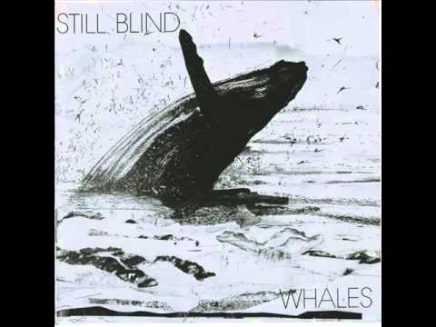 Still Blind - Whales (Full Album)