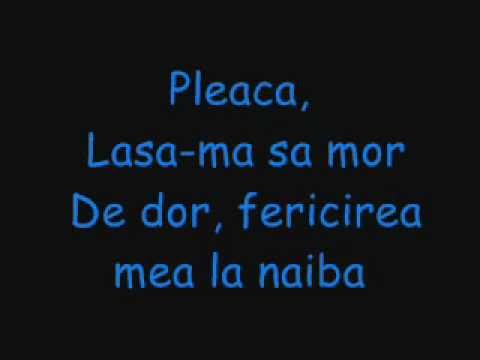 Vunk si Antonia-Pleaca lyrics