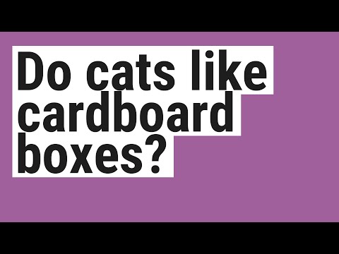 Do cats like cardboard boxes?