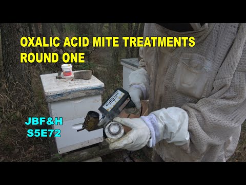 OA Treatments Fall 2021 S5E72