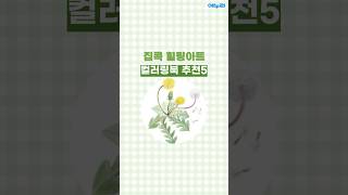 핑크풋 12000 오늘의 소녀 컬러링북_동영상_이미지