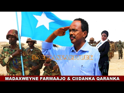 CIIDANKA XOOGGA DALKA OO JAWAAB DEG-DEG AH KA BIXIYAY - GUUSHA MD FARMAAJO 'DAAFACA DALKAAN NAHAY'