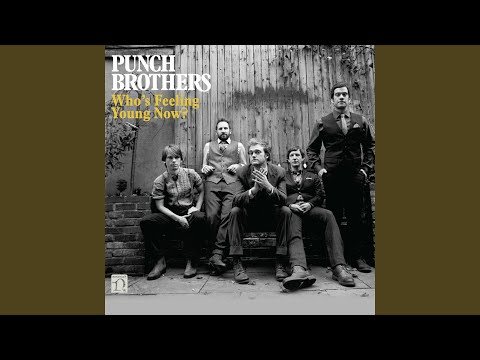 Flippen (The Flip) - Punch Brothers