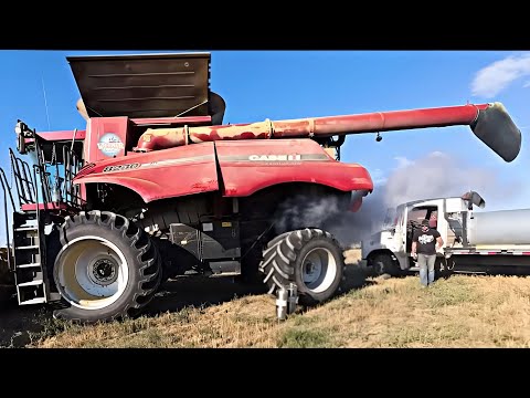 FIRE! Two Combines! Same Place & Same Day?! 