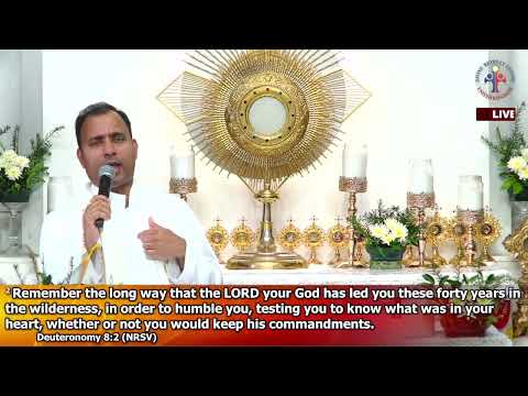 Dewfall 1745 - There is a reason for everything