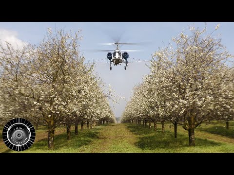 4Kᵁᴴᴰ HA-HSF, Kamov Ka-26 - Cherry spraying