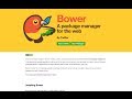 Setting Up Bower And Polymer