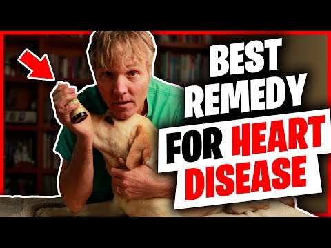 Herb for Dog and Cat Heart Help