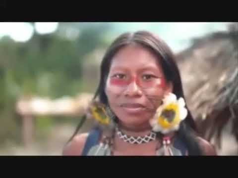 Podpořte vznik celosvětové telepatické sítě vědomých tvůrců