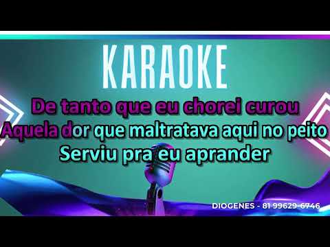 ANDRIELLY SOUZA A NOVA EU KARAOKÊ