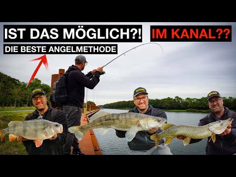 Angeln am Kanal | mit dieser METHODE fängst du BARSCH ZANDER und HECHT