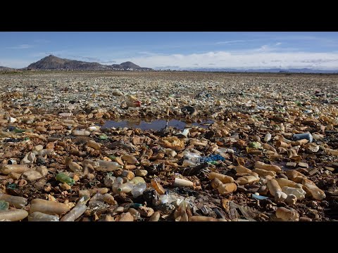 So gelangt Plastikmüll in Flüsse und Seen