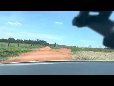 Pescaria 100spim Guapó go , viajando , documentário de viagem #interiordegoias #goiás #pesca 4