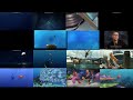 REQUESTED Up To Faster Superparison To Finding Nemo