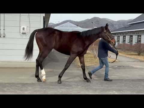 {{itemName}}_video_thumbnail