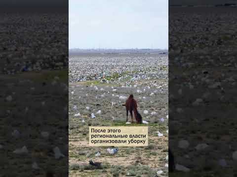 22 апреля 2026 г.