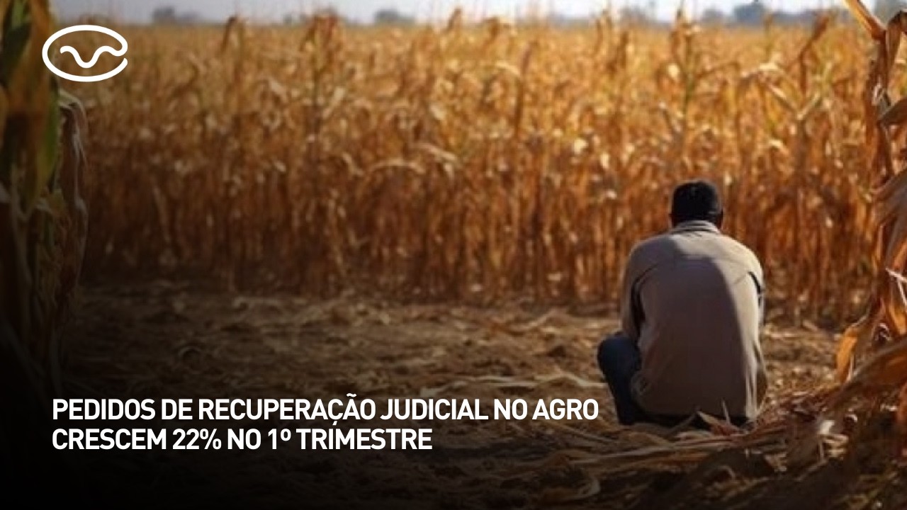 Pedidos de recuperação judicial no agro crescem 22% no 1º trimestre de 2026
