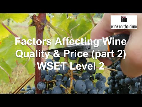 WSET Quiz 4: Factors Affecting Wine Quality and Price (part 2)