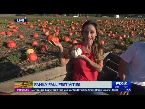 download lagu mp3 mp4 Hanks Pumpkintown, download lagu Hanks Pumpkintown gratis, unduh video klip Hanks Pumpkintown