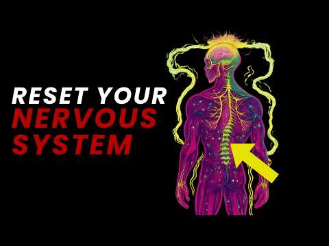 If You Don’t Reset Your Nervous System, You Can’t Manifest Anything