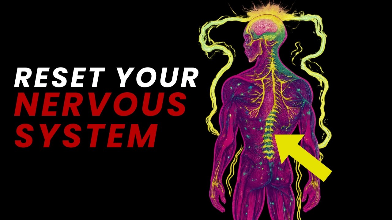 If You Don’t Reset Your Nervous System, You Can’t Manifest Anything