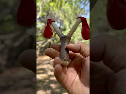 Survival Skills：Customized Slingshot — Kid-Friendly and Fun #outdoors #camping #bushcraft #survival