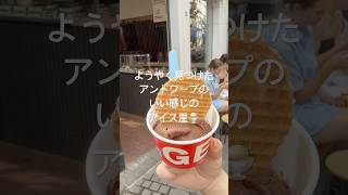 アントワープのいい感じの、アイス屋🍨#アイス #icecream #ジェラート #アントワープ #antwerp #antwerpen #ベルギー #belgium #ヨーロッパ #europe