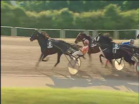 Trotto 25/05/2018 - 5ª corsa