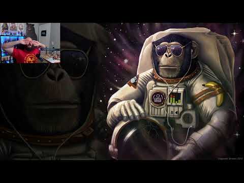 [Day 333] Streaming Everyday: Exploring And Maybe Decorating, But Fur Sure Chillin