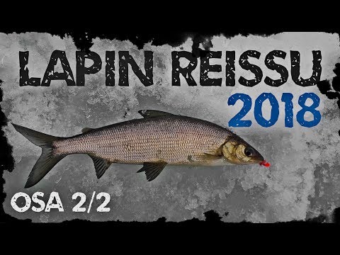 Pilkillä tunturissa 2/2