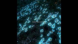 Oh Wonder - Landslide (Lyrics) | I know it hurts sometimes but | Aesthetic #song #lyrics #music