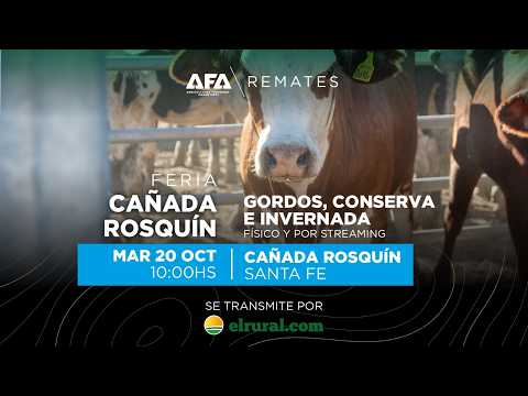 Remate AFA Gordos, Conserva e Invernada desde Cañada Rosquín Santa Fe