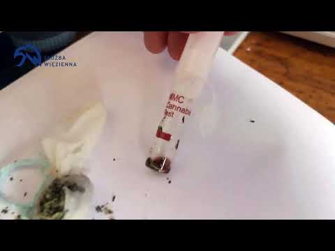 Ujawnienie w ZK Wojkowice