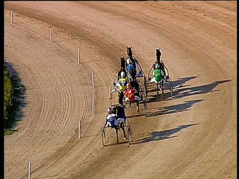 Trotto 30/06/2018 - 2ª prova di qualifica