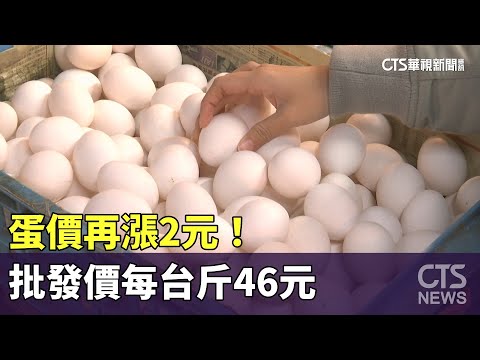 蛋價再漲2元！　批發價每台斤46元　近3個月新高