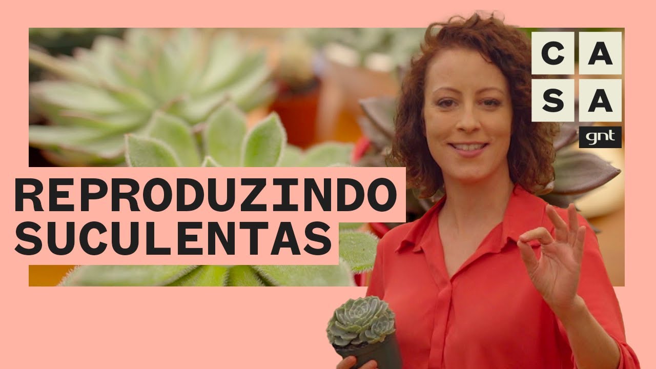 🌵 SUCULENTAS: como tirar mudas das plantas em 5 técnicas INCRÍVEIS | Plante Você Mesmo | Carol Costa