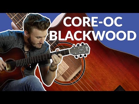 CORT BLACKWOOD OCOPLB Core Series Solid Wood Acoustic/Electric Guitar image 13